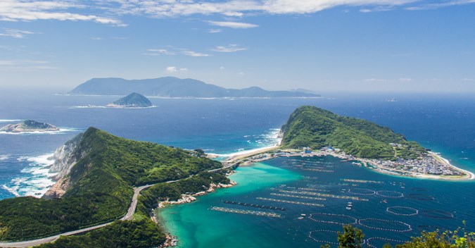 Japan & South Korea